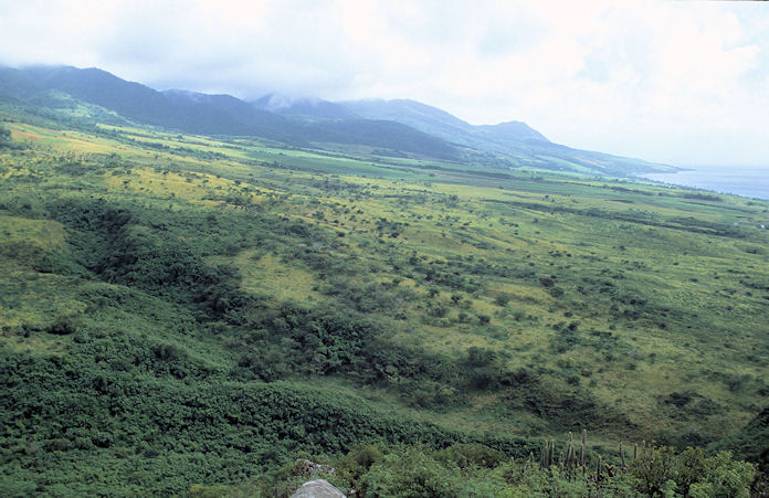 St. Kitts-01-116.jpg